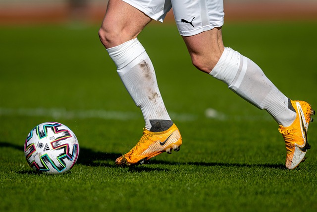 的正式加盟 的正式加盟